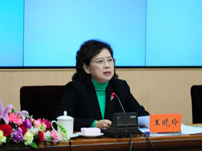  文化部于2010年4月20日上午10时举行新闻发布会，介绍第九届中国艺术节有关情况，并答记者问。图为广州市委常委、宣传部部长 王晓玲。文化部政府门户网站殷平 摄