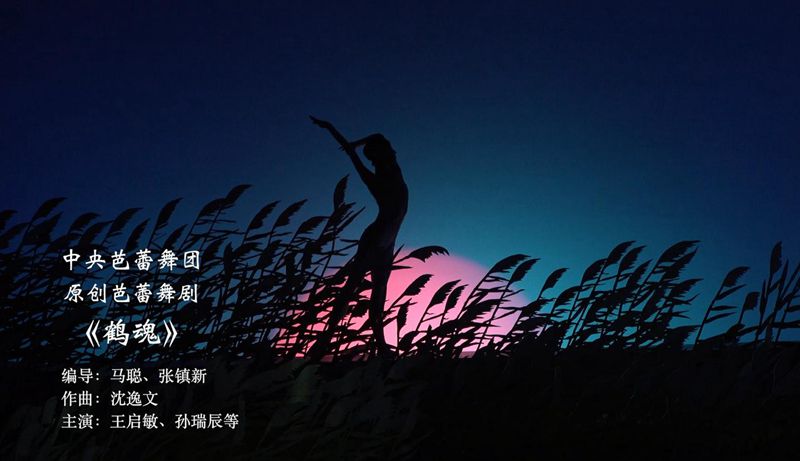 鹤魂_副本.jpg
