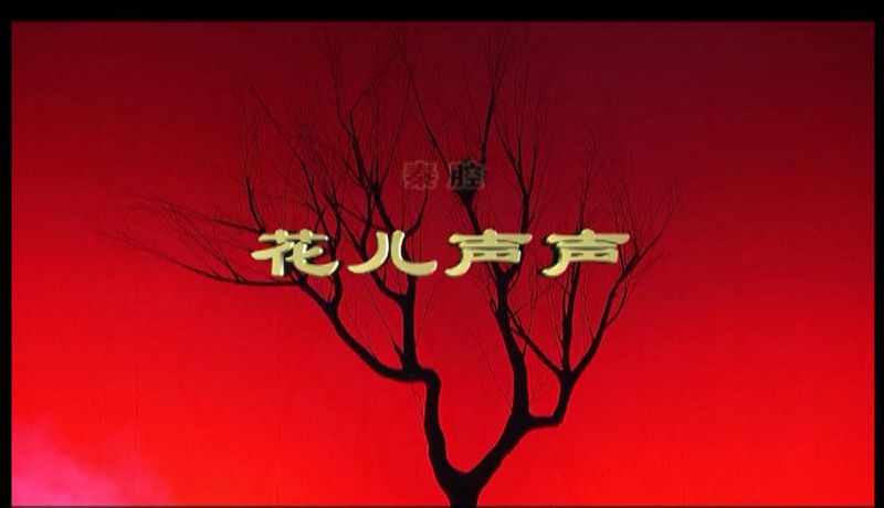 花儿声声_副本.jpg