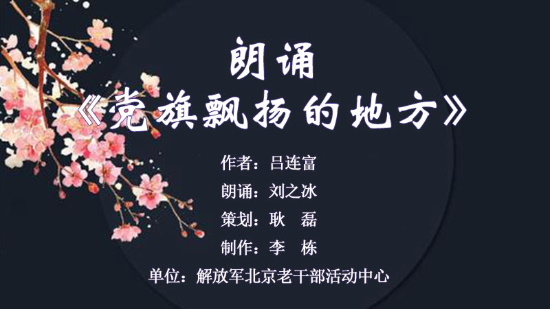 党旗飘扬的地方.jpg