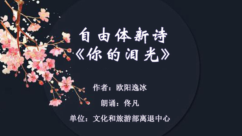 自由体新诗《你的泪光》.jpg