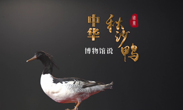 1618800362(1).png