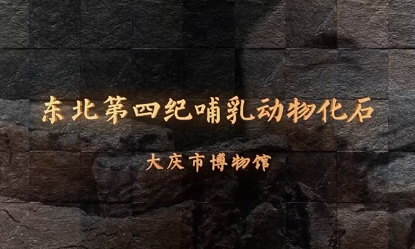 微信图片_20211108164833.png
