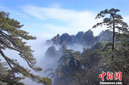 资料图：黄山。姚育青摄
