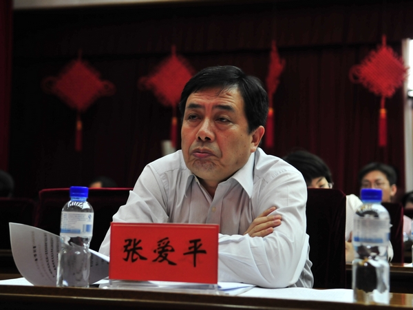  2012年5月14日下午15时，文化部举行新闻发布会介绍十七大以来我国对外文化、对港澳台文化工作所取得的伟大成就，并答记者问。图为文化部对外文化联络局党委书记、副局长张爱平。文化部政府门户网站记者杨倩 摄。
