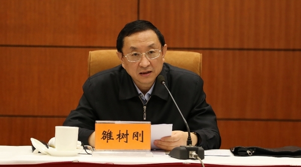 文化部党组书记、部长雒树刚讲话